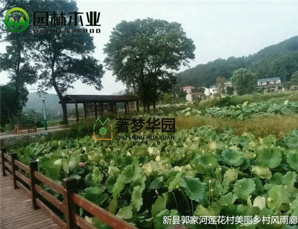 鄭州好色视频下载風雨廊